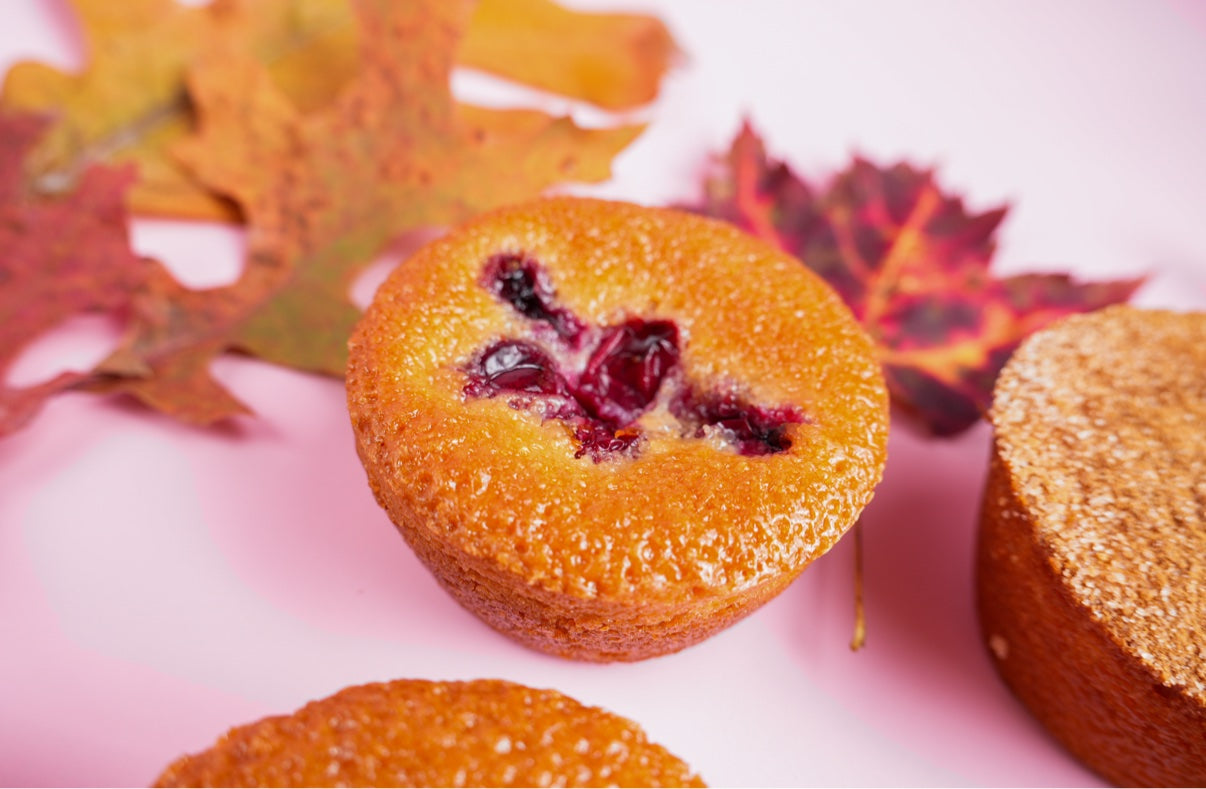 Cranberry butter mochi with cranberries baked into the top
